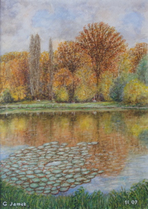 Pond in autumn